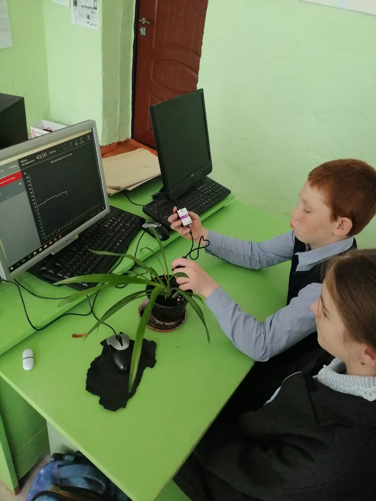 Биология 5 класс. Практическая работа «Влияние воды на рост и развитие растений»..